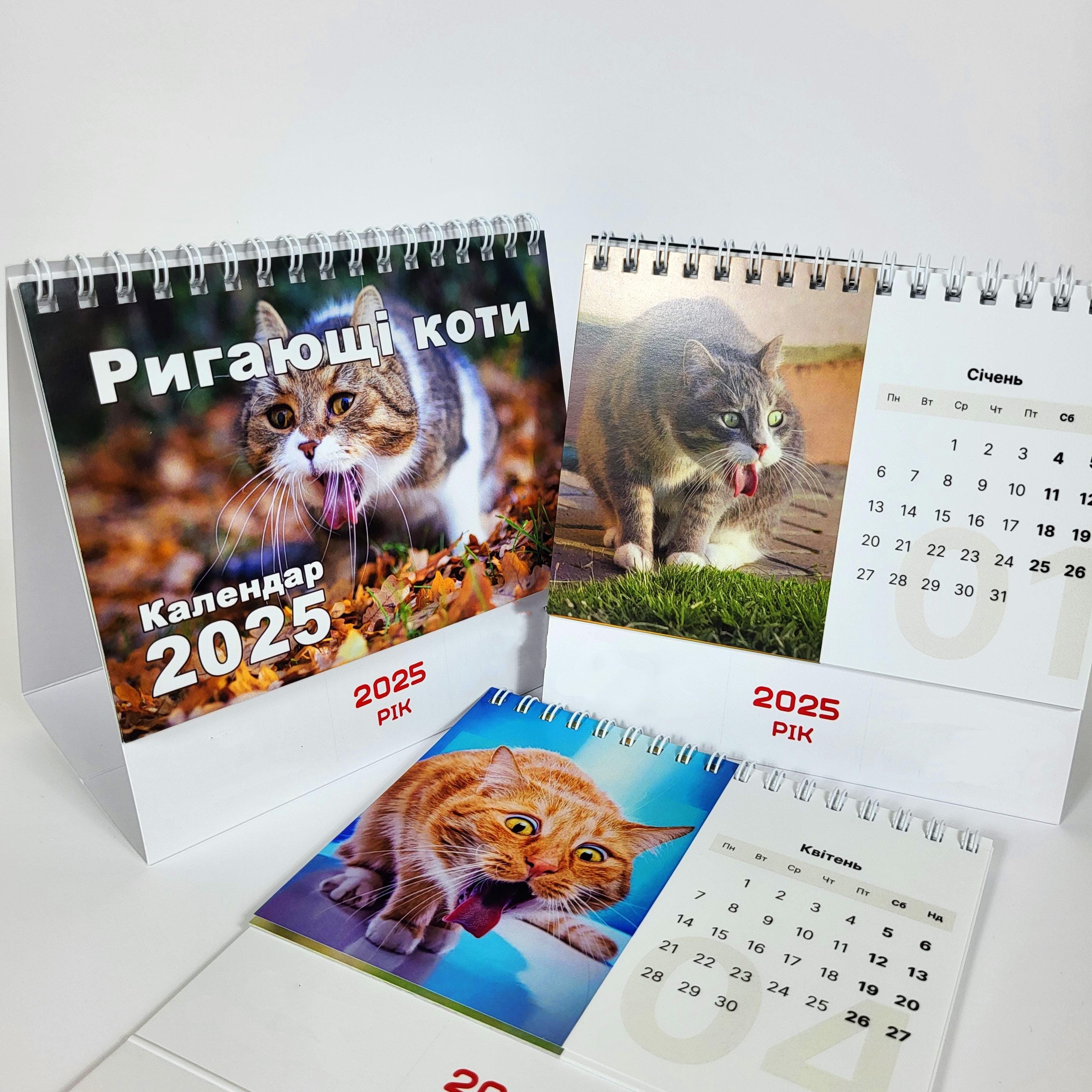  😹Vomiting Cats 2025 Desk Calendar📅
