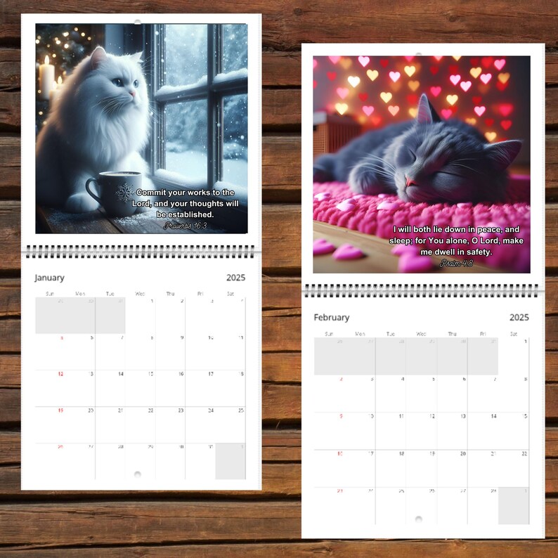 可爱的猫咪与圣经经文 2025 年日历 📖🐱