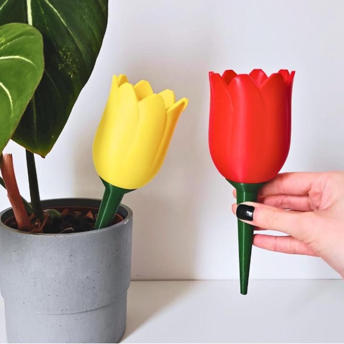 🌷Self Watering Planter - Plant Watering