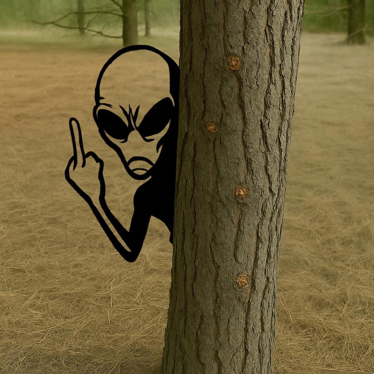 👽Funny Peek-a-Boo Alien Metal Sign