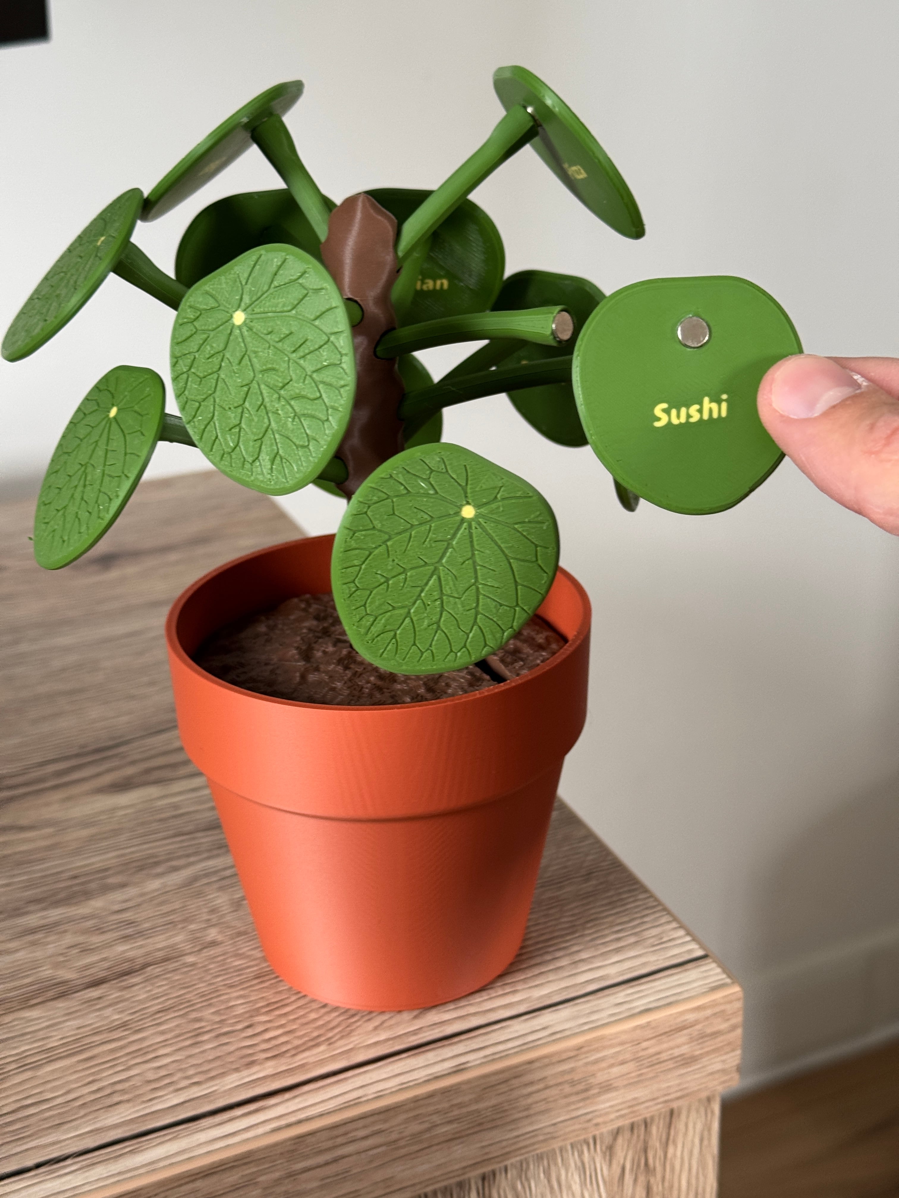 Pilea Food Picker 