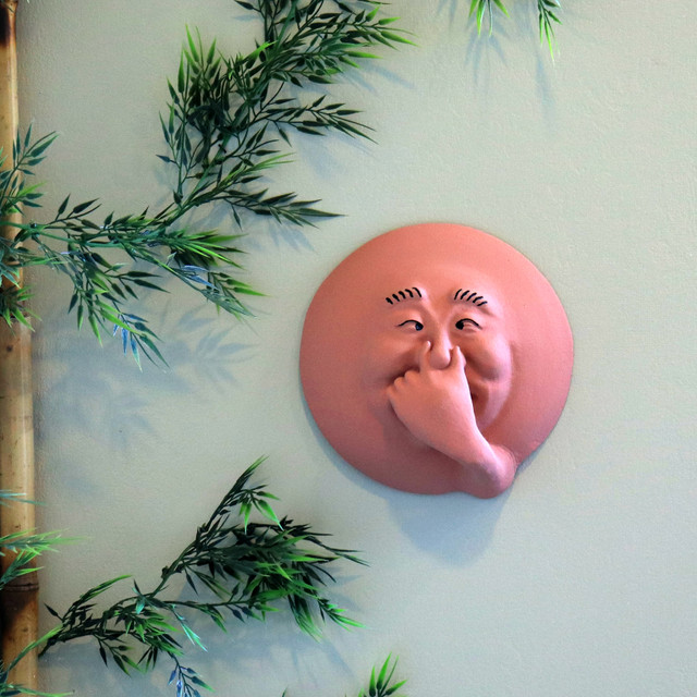 Smelly Face Sam | Funny Wall Decor