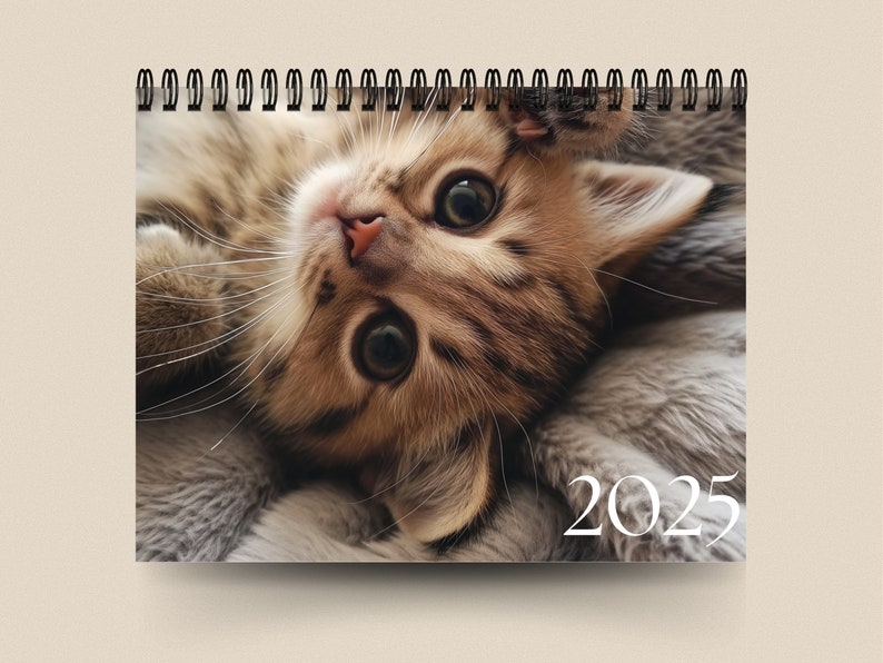 2025 年日历聊天