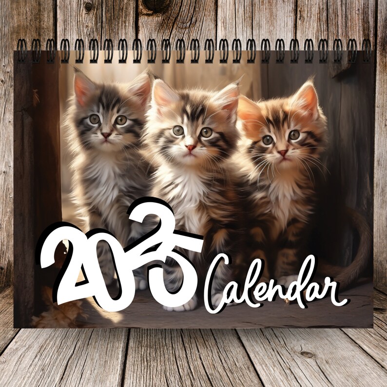 2025 Kitty Calendar