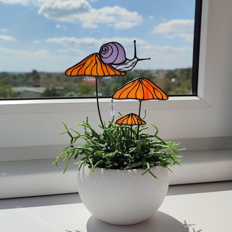 橙色蘑菇植物桩上的神奇蜗牛