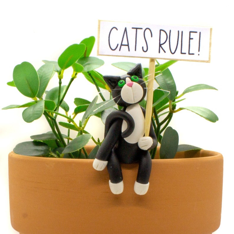Funny Cat Pot Sitter