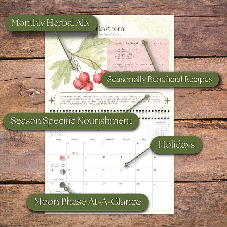 Magical Herbs Calendar 2025 🌿✨