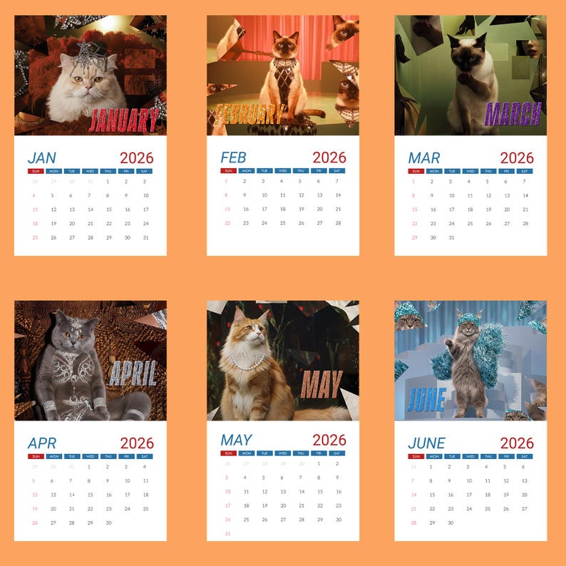 2026年赛猫生活挂历