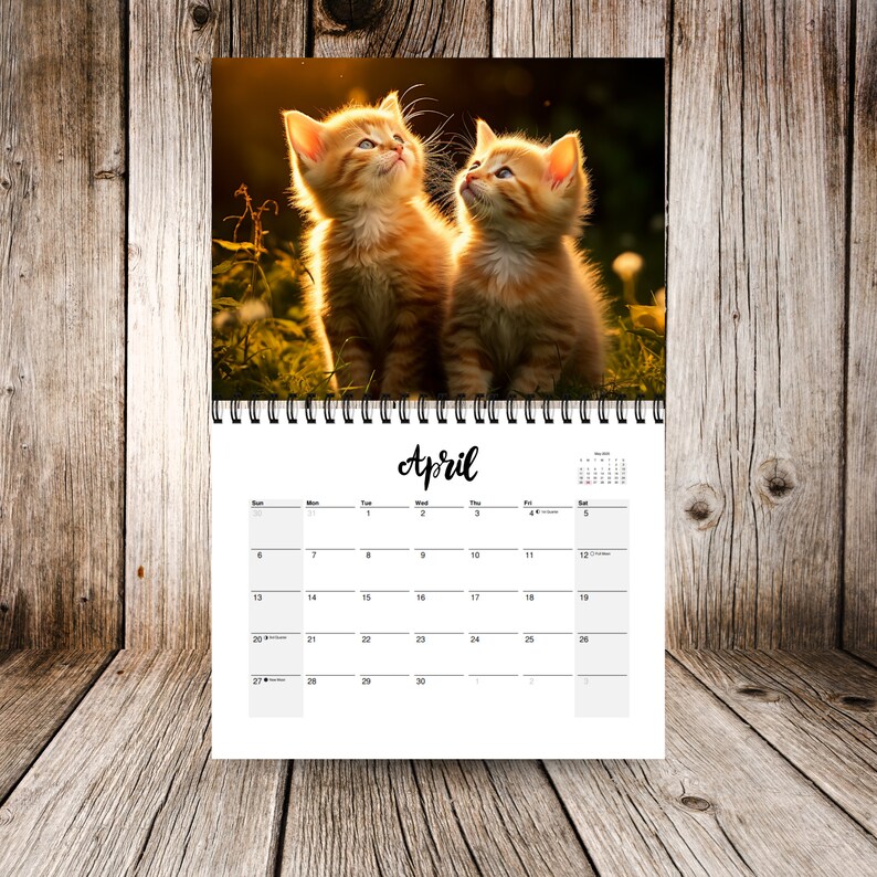 2025 Kitty Calendar