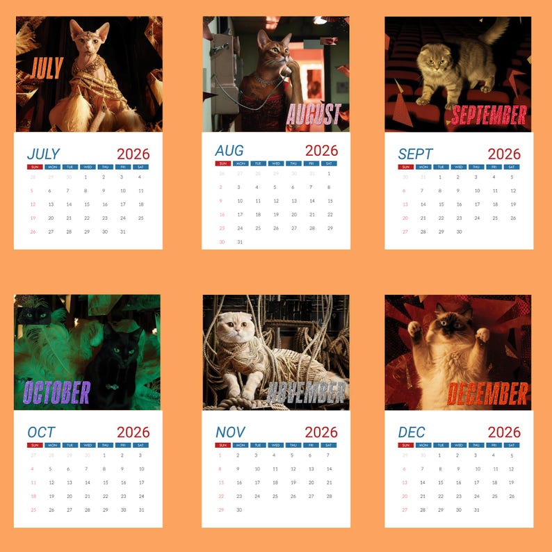 The Life Of A Show Cat 2026 Wall Calendar