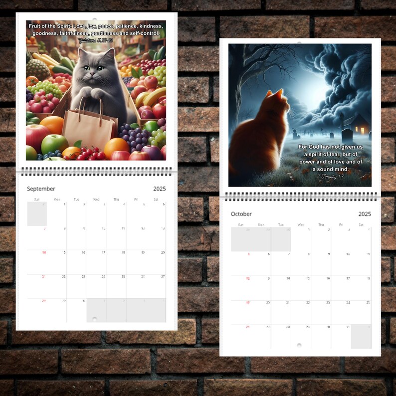 可爱的猫咪与圣经经文 2025 年日历 📖🐱