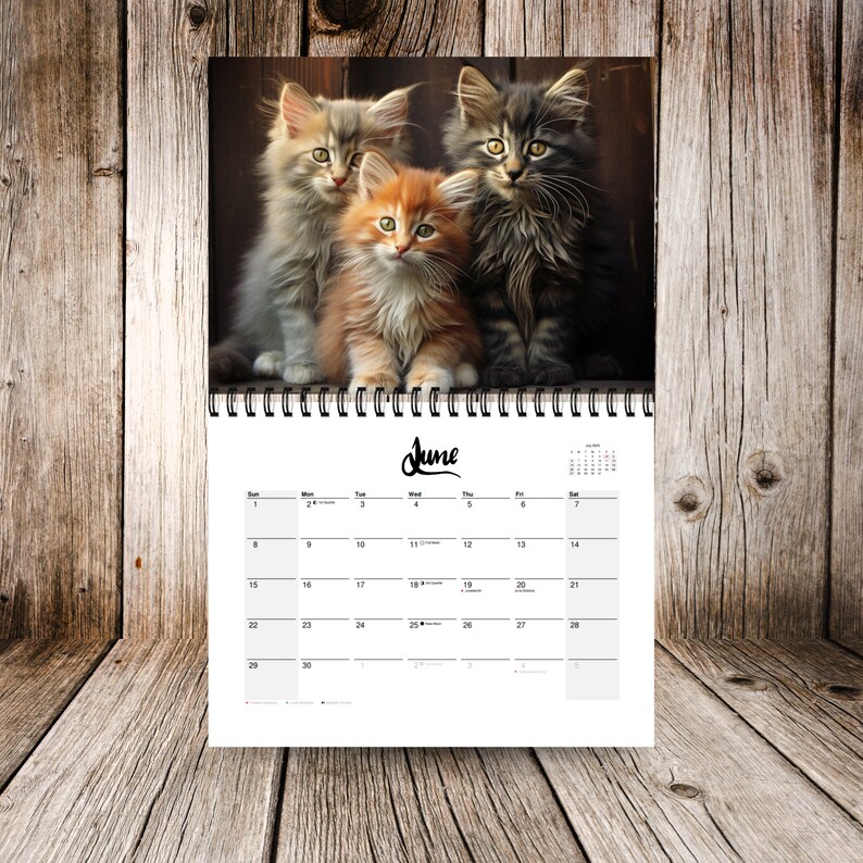 2025 Kitty Calendar