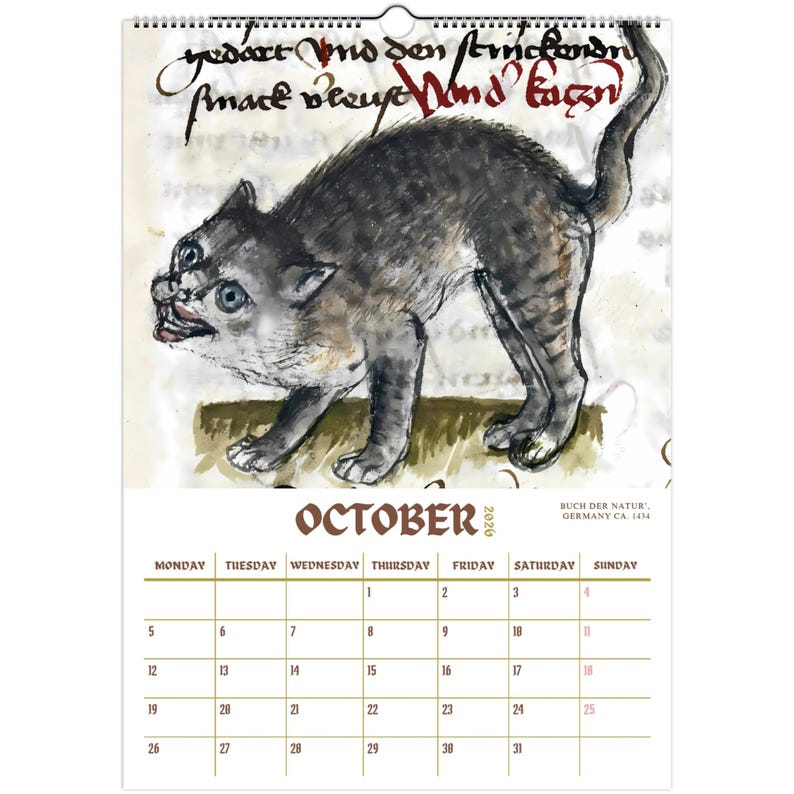 Funny Mediaval Cat Calendar 2026