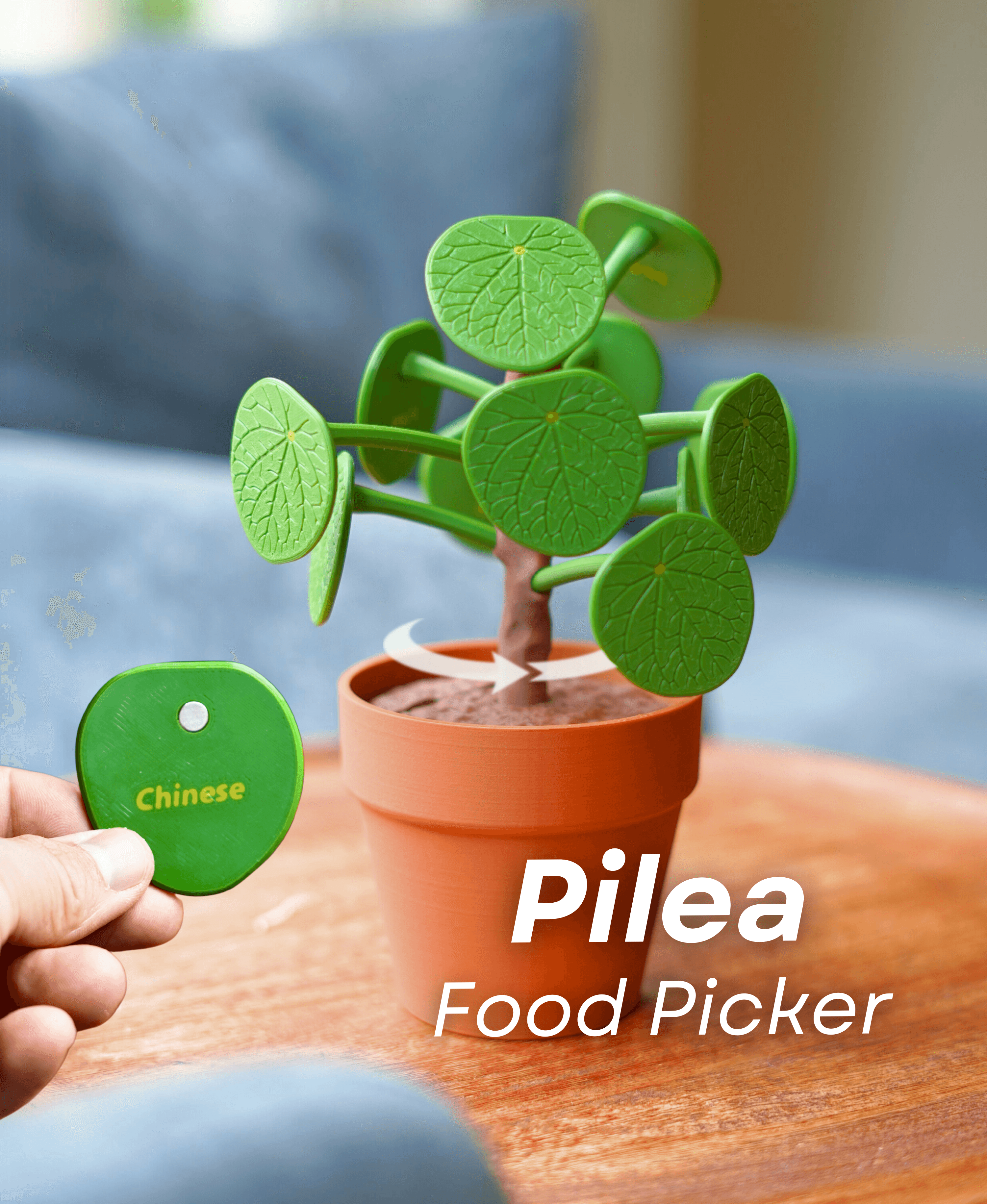 Pilea Food Picker 