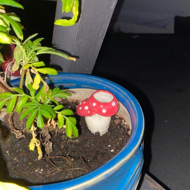 Funny Ceramic Plant Watering Spike