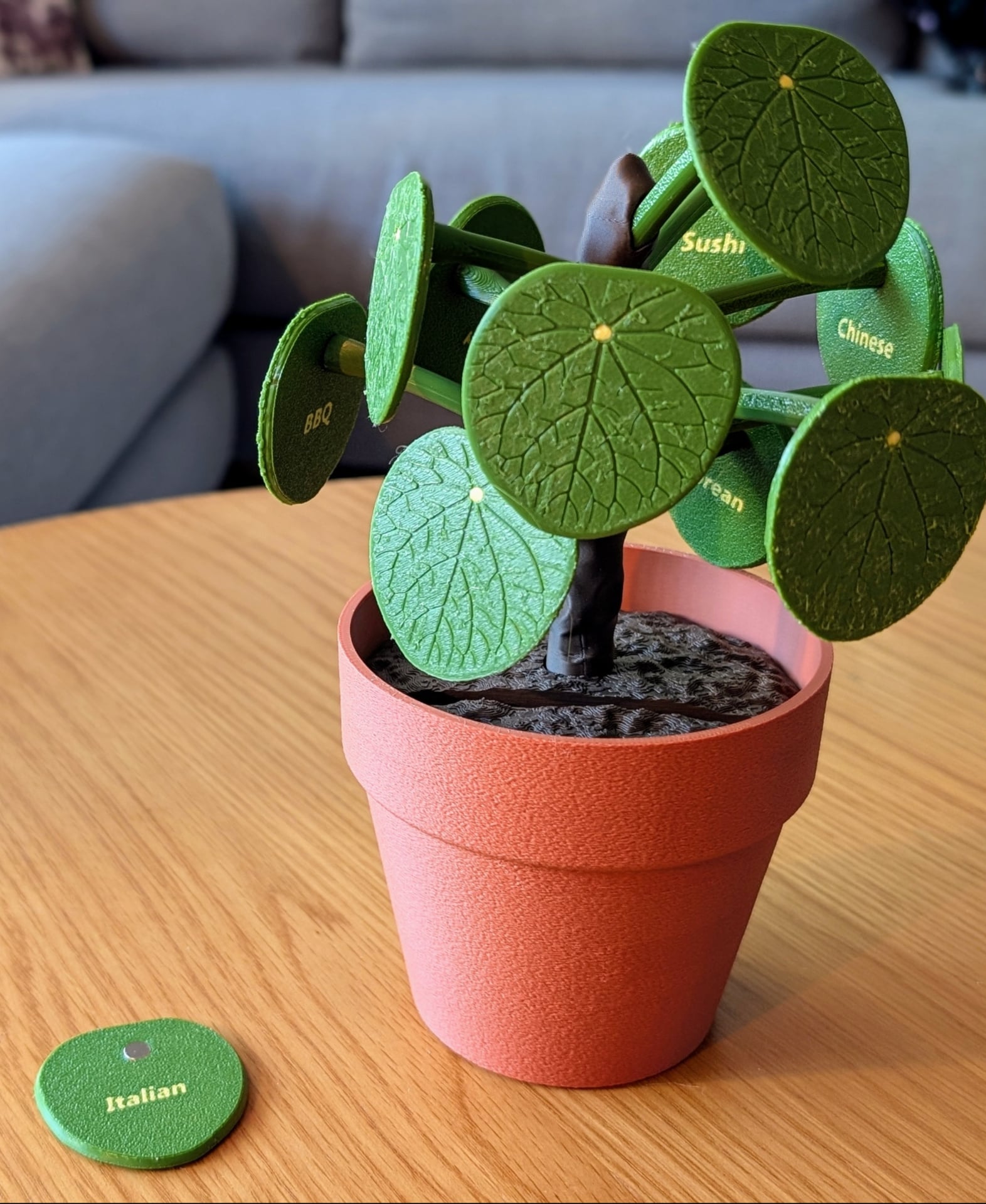 Pilea Food Picker 