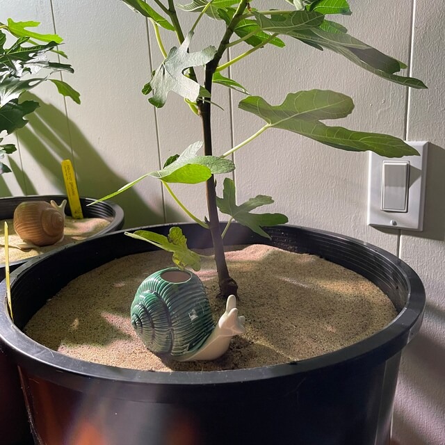 Funny Ceramic Plant Watering Spike