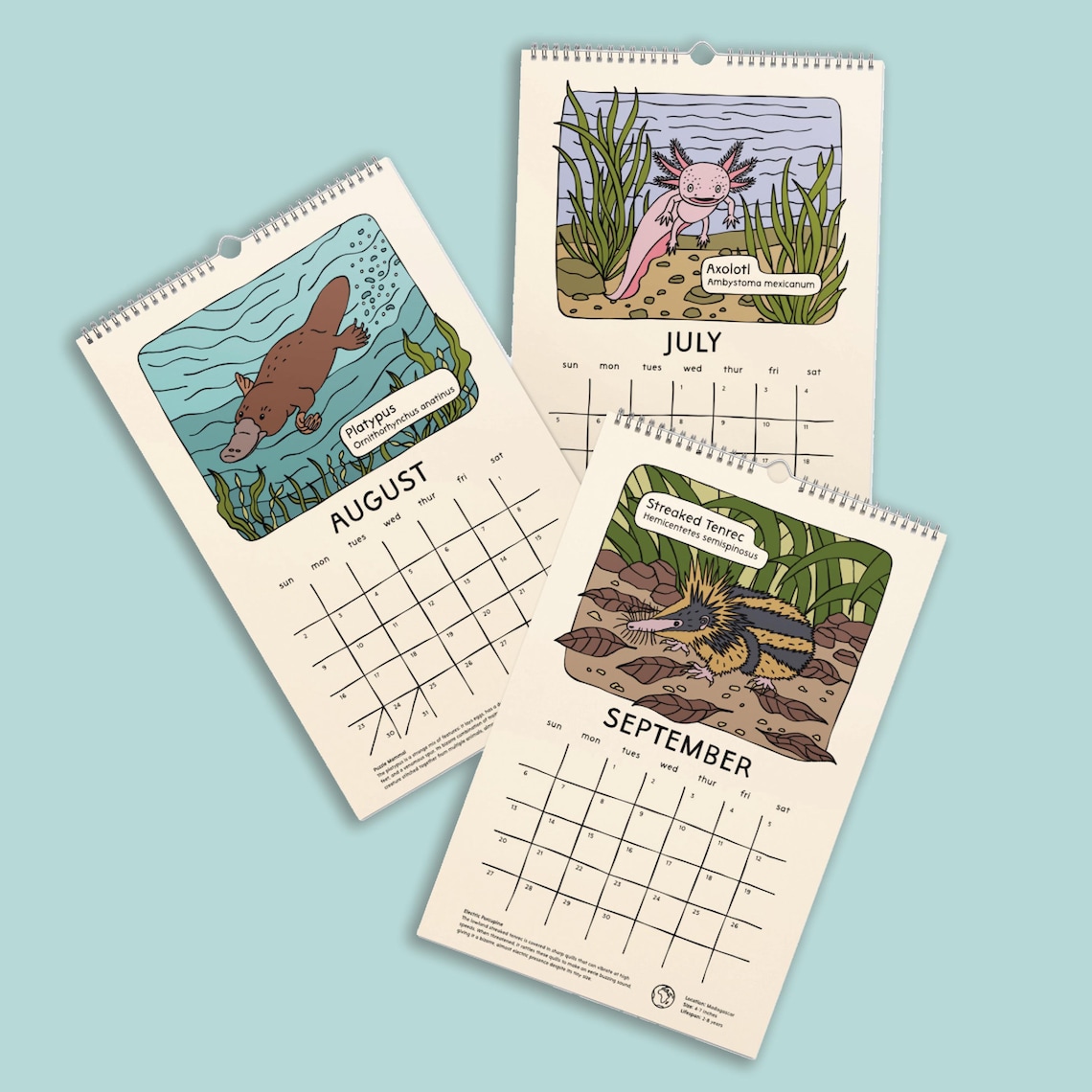 Strange and Bizarre Animals 2026 Calendar 