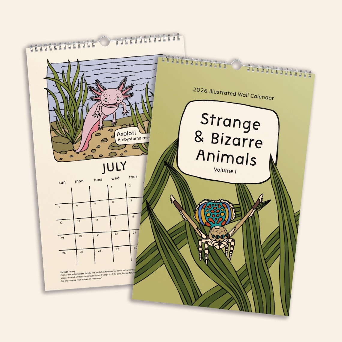 Strange and Bizarre Animals 2026 Calendar 