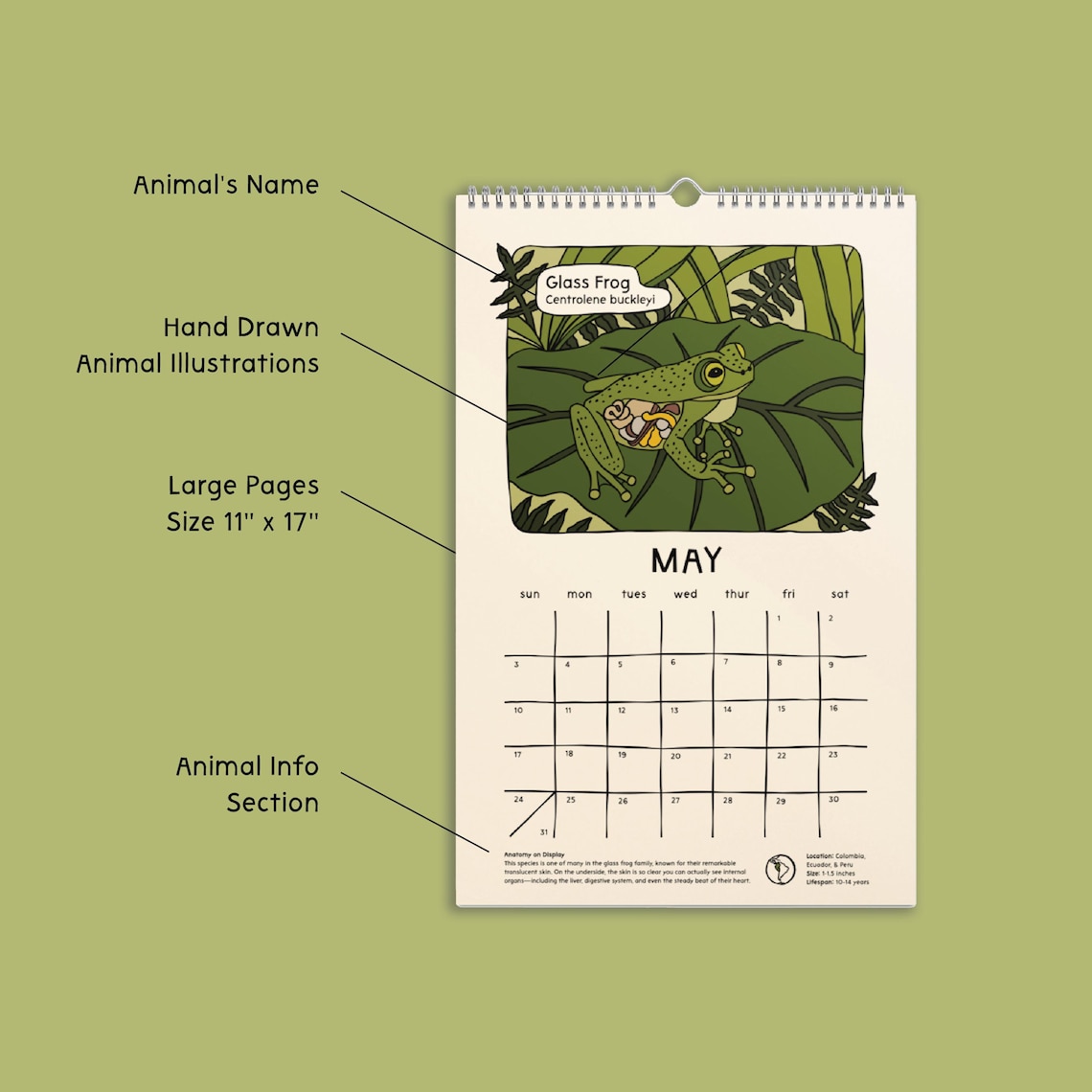 Strange and Bizarre Animals 2026 Calendar 