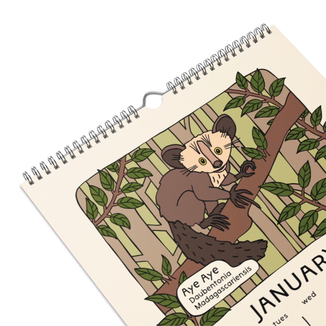Strange and Bizarre Animals 2026 Calendar 