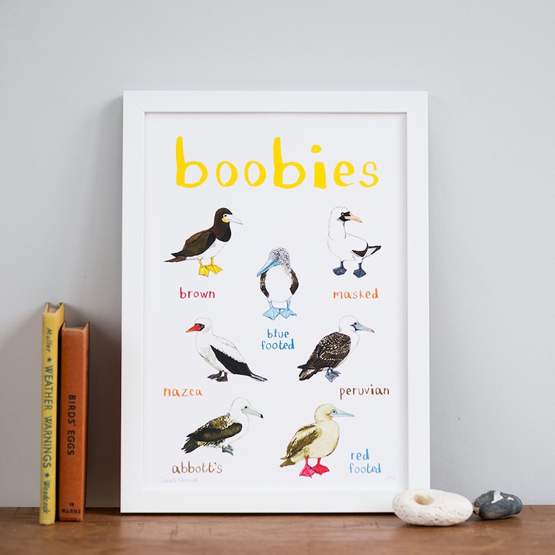 Boobies Art Print A4 image 5