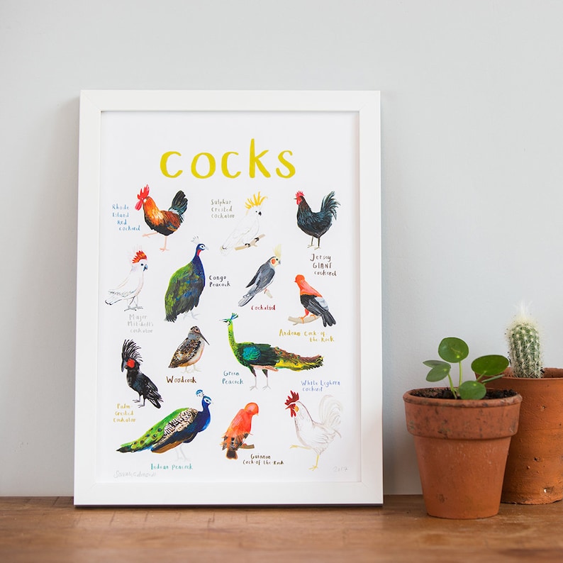 Cocks Art Print A4 image 4