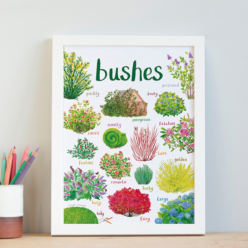 Bushes Art Print A4 image 1