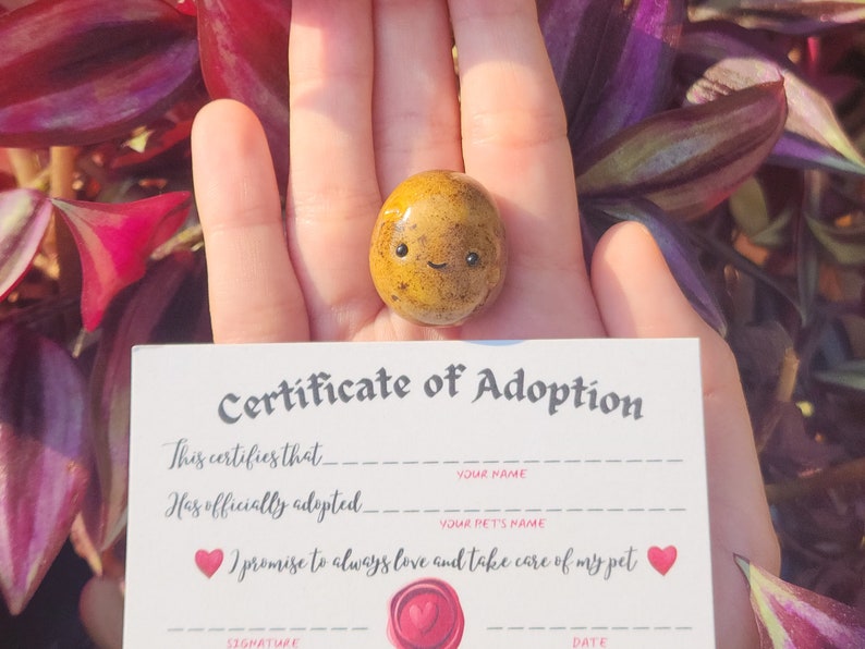 Pet Potato, FREE SHIPPING, W/ Adoption Certificate & Pet Carrier Box, Adopt a Pet Potato, Adopt a Pet Rock, Desk Pet, Polymer Clay Charm image 1