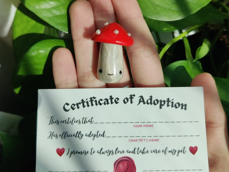 Pet Mushroom, FREE SHIPPING, W/ Adoption Certificate & Pet Carrier Box, Adopt a Pet Mushroom, Adopt a Pet Rock, Desk Pet, Polymer Clay Charm image 1