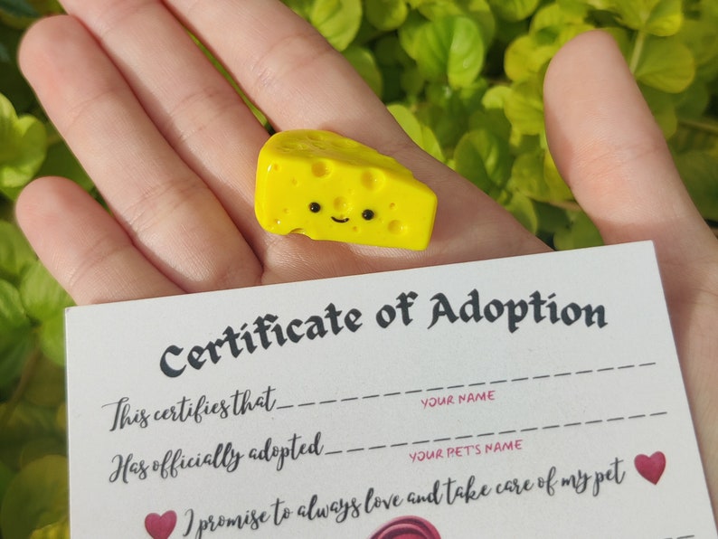 Pet Cheese, FREE SHIPPING, W/ Adoption Certificate & Pet Carrier Box, Adopt a Pet Cheese, Adopt a Pet Rock, Desk Pet, Polymer Clay Charm image 1