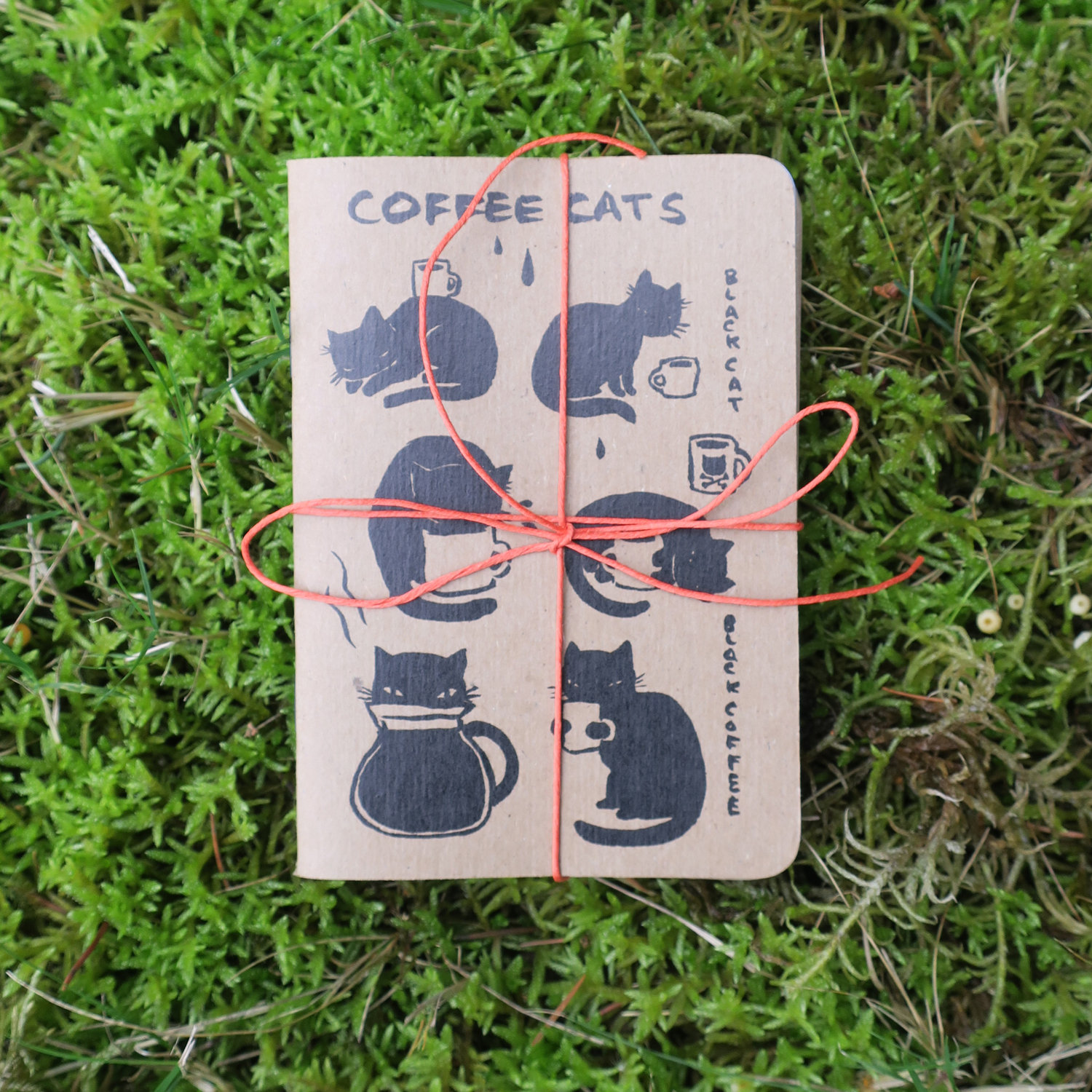 Set of 3 Cat Notebooks 