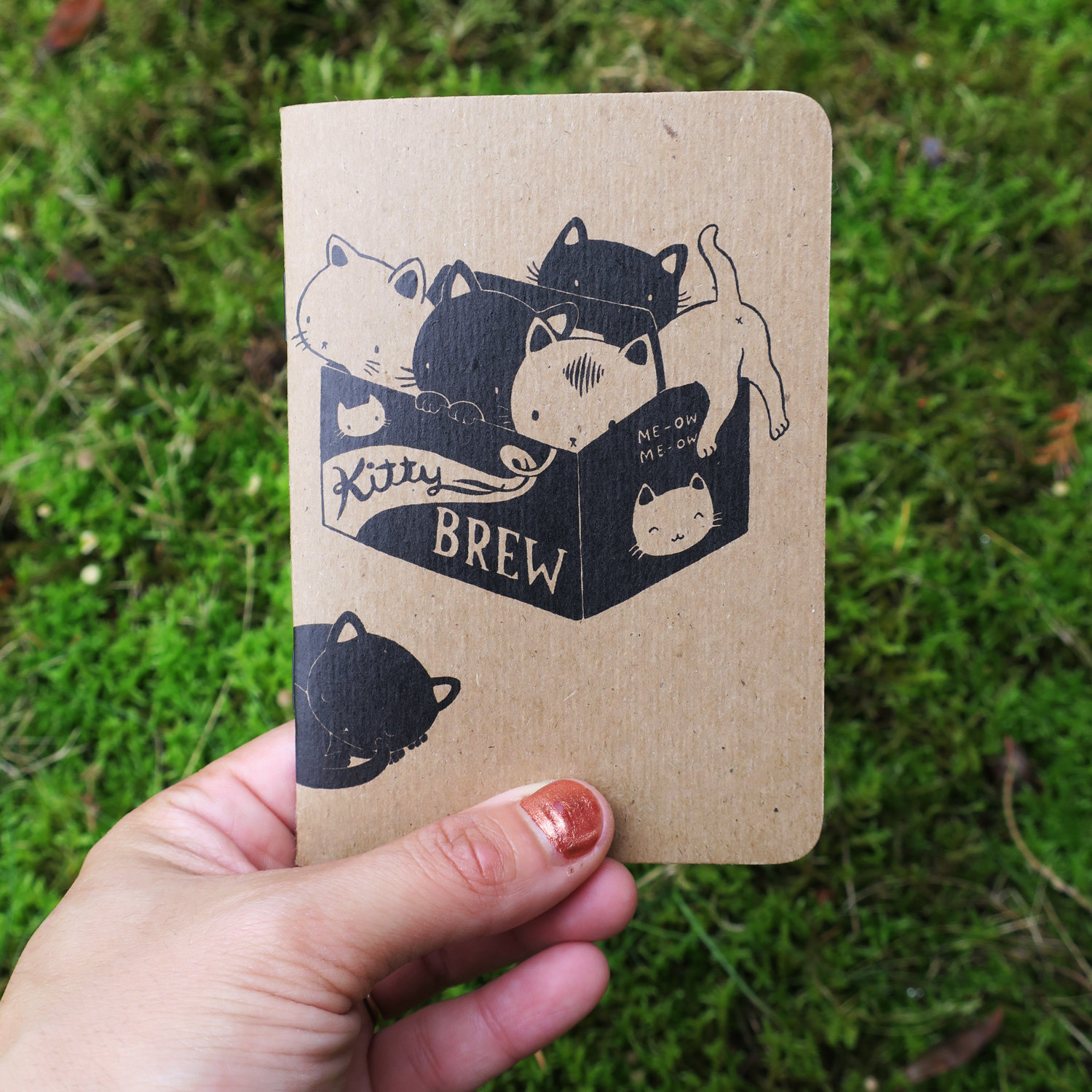 Set of 3 Cat Notebooks 