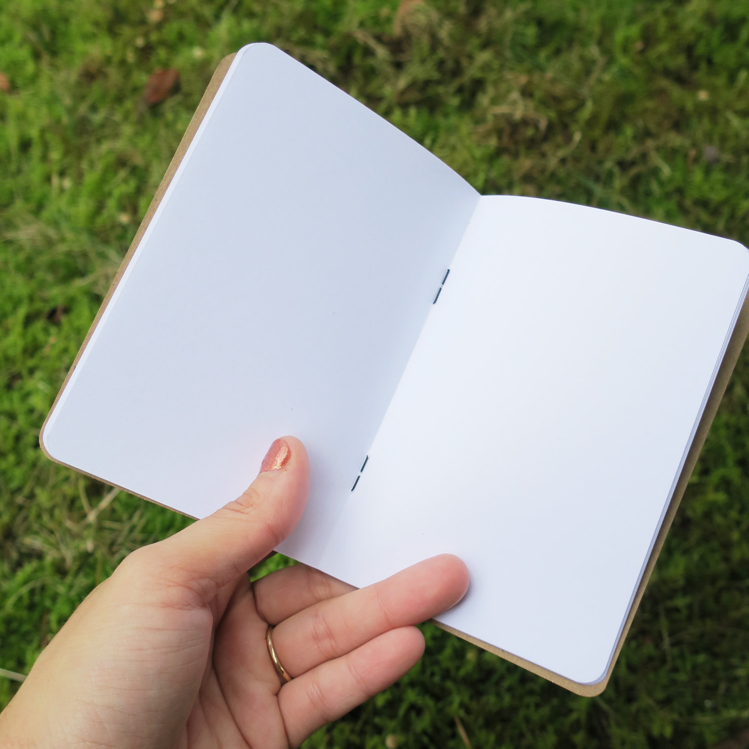 Set of 3 Cat Notebooks 