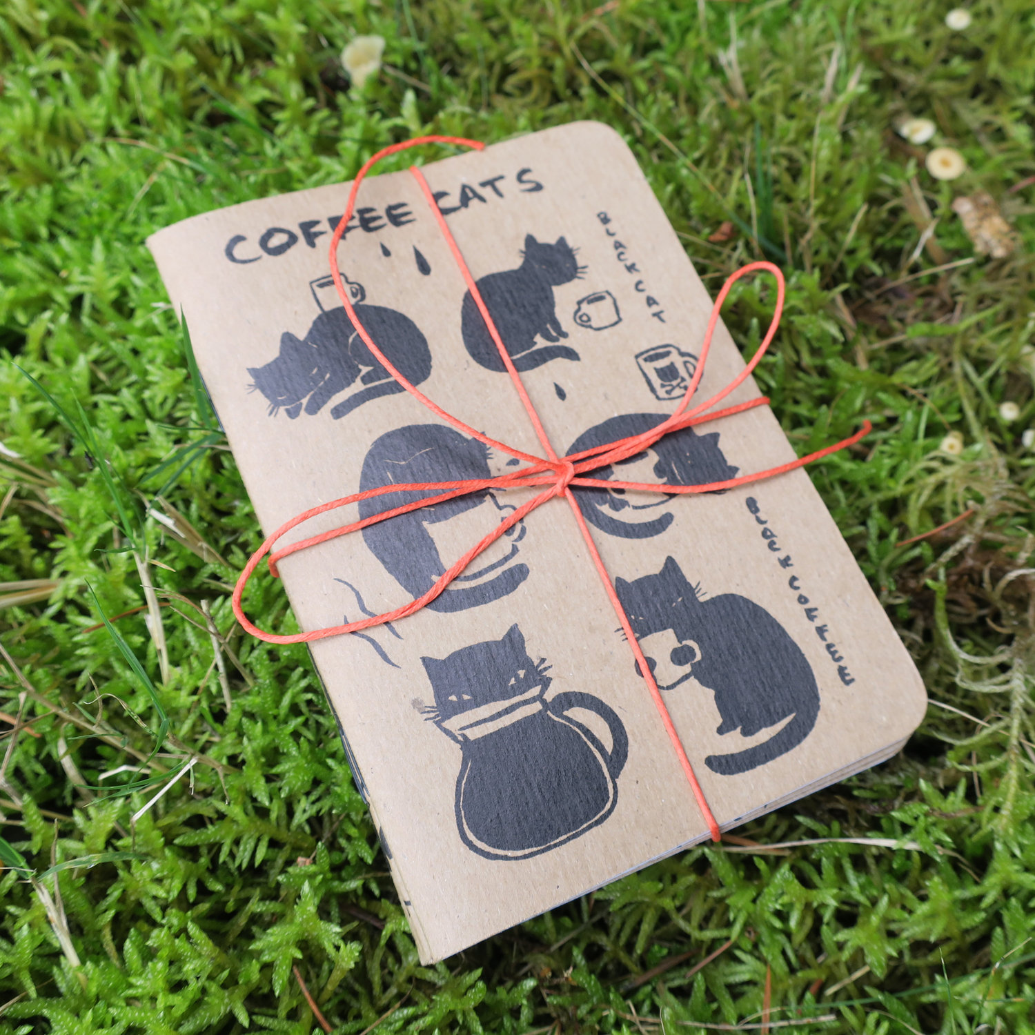 Set of 3 Cat Notebooks 