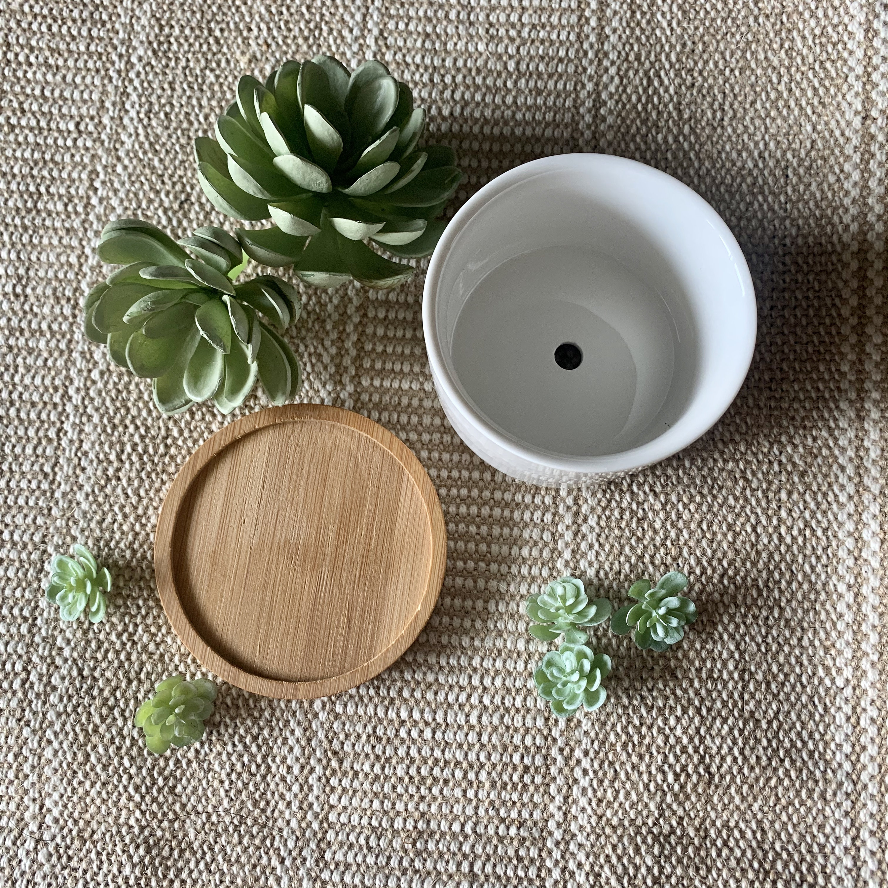 Funny unique succulent pots