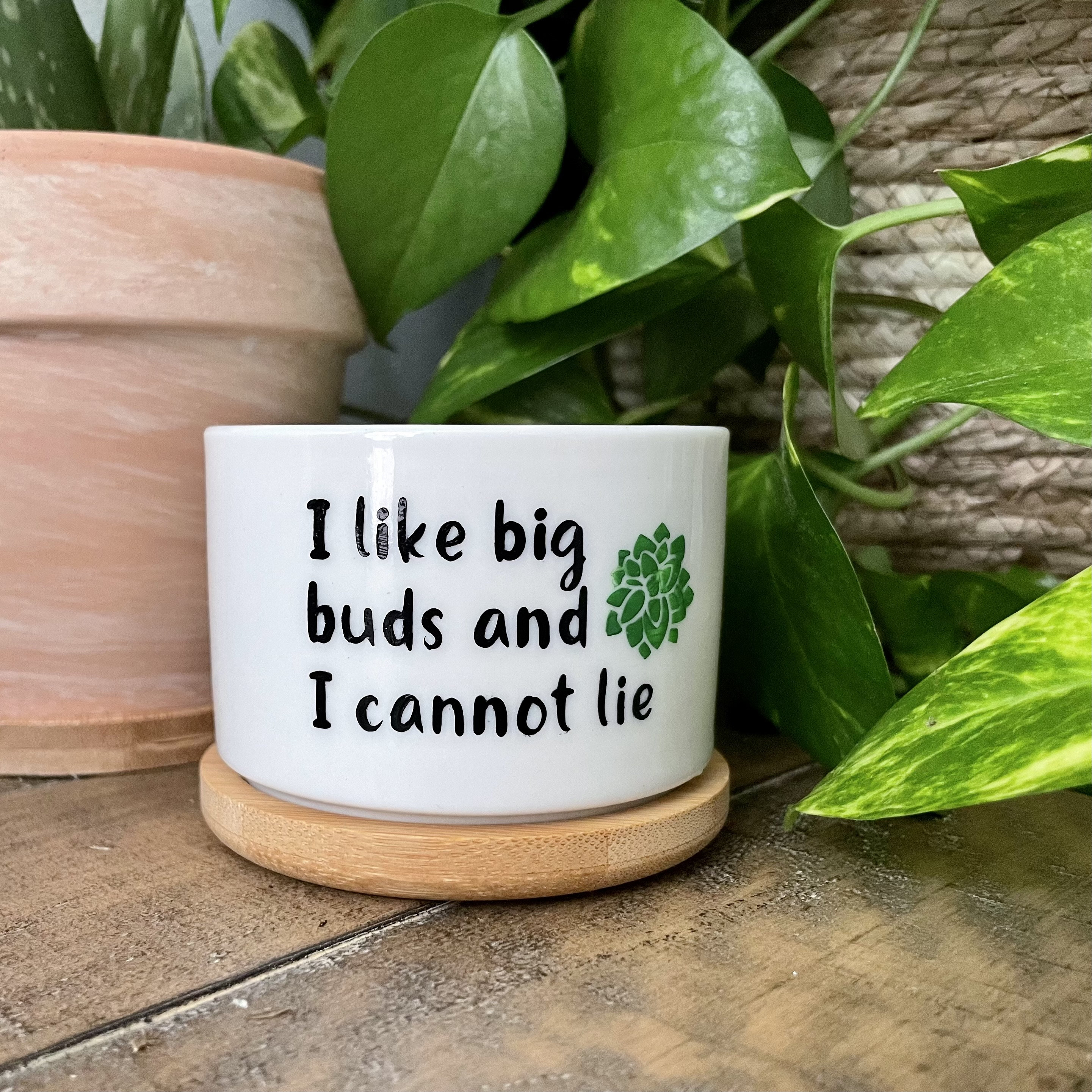 Funny unique succulent pots