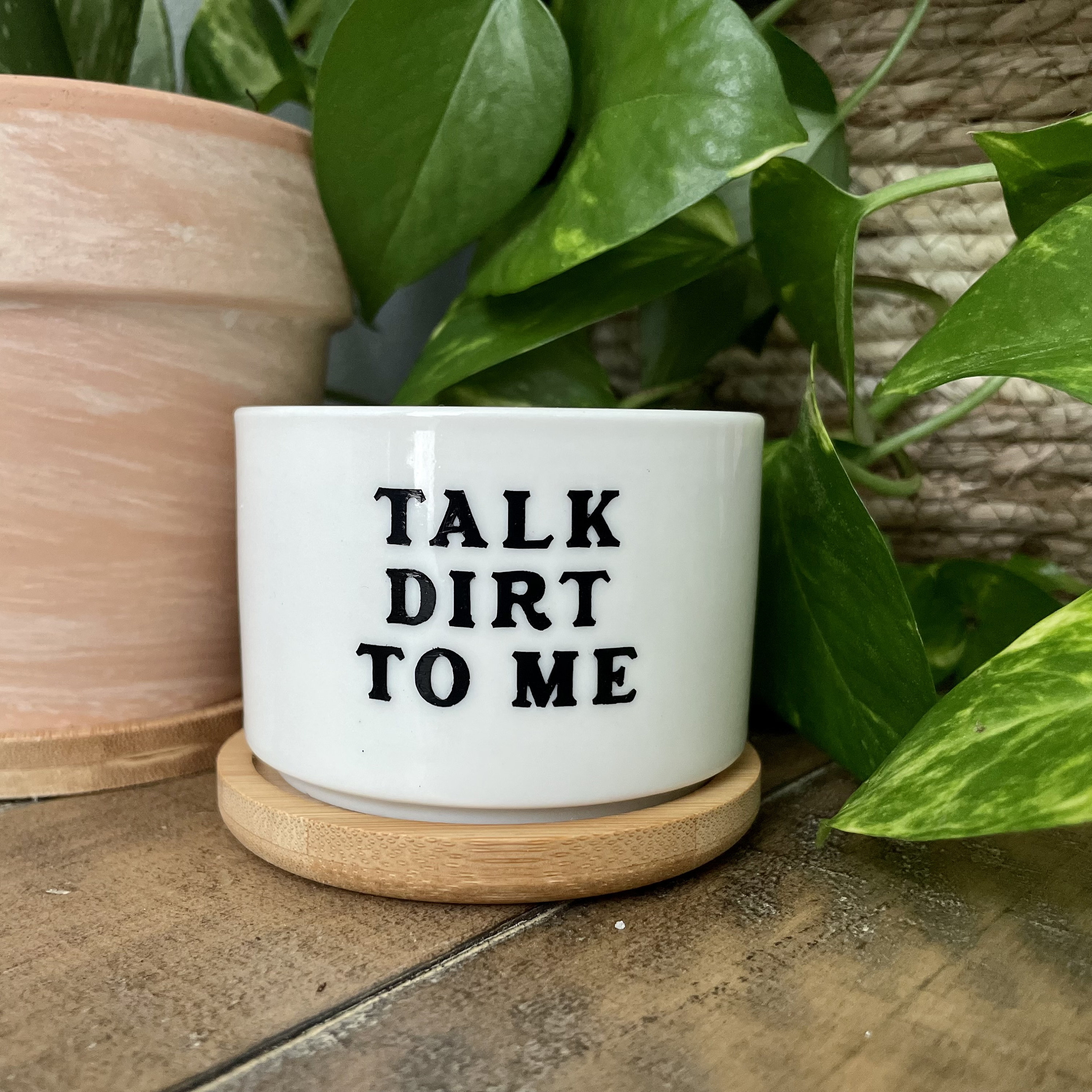 Funny unique succulent pots