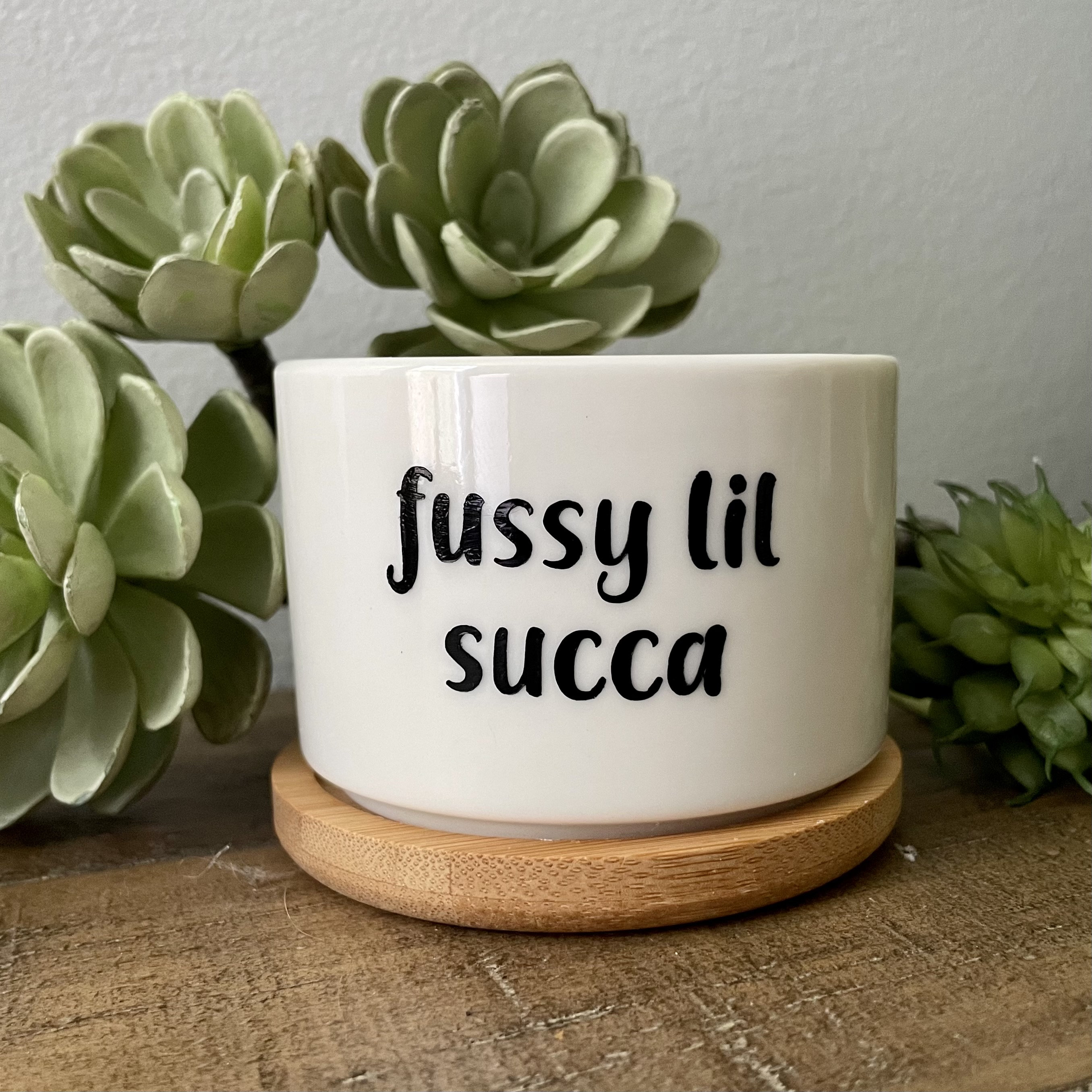 Funny unique succulent pots