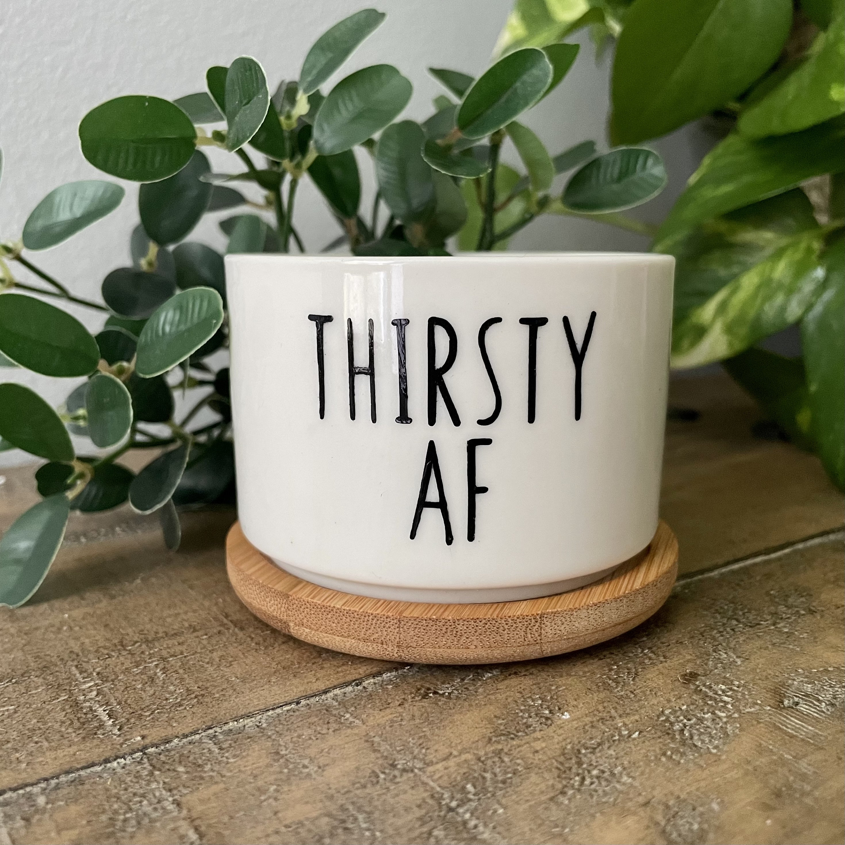 Funny unique succulent pots