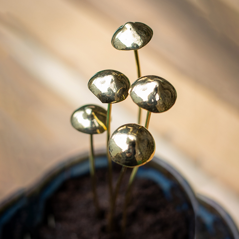 Handcrafted Brass Mushroom