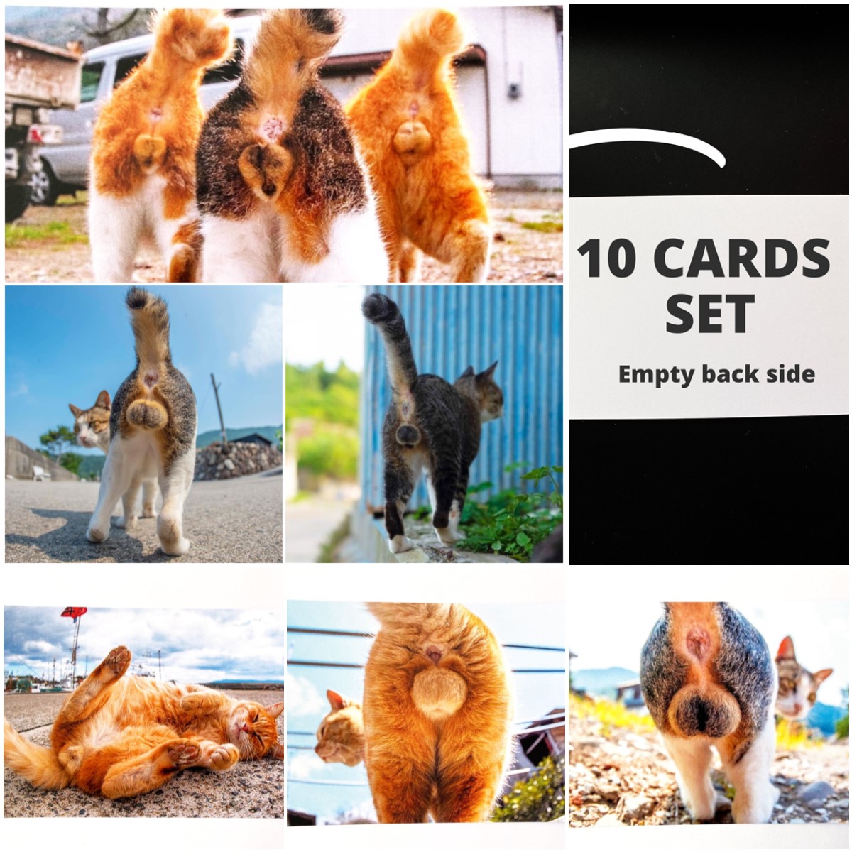 Funny Cat Butt Card - Sarcastic Holiday Cards 