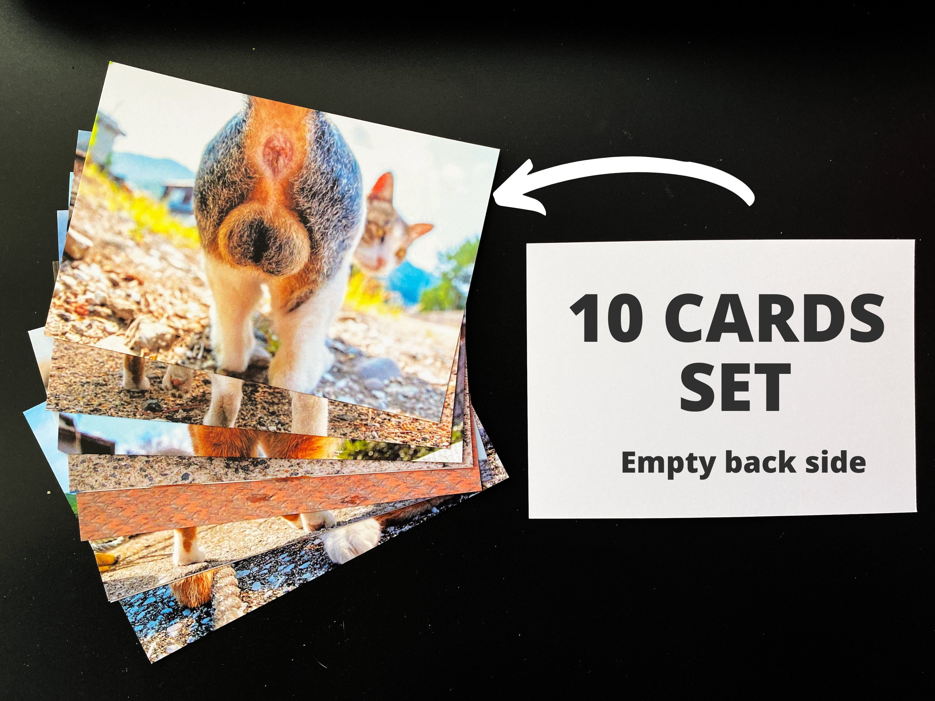 Funny Cat Butt Card - Sarcastic Holiday Cards 