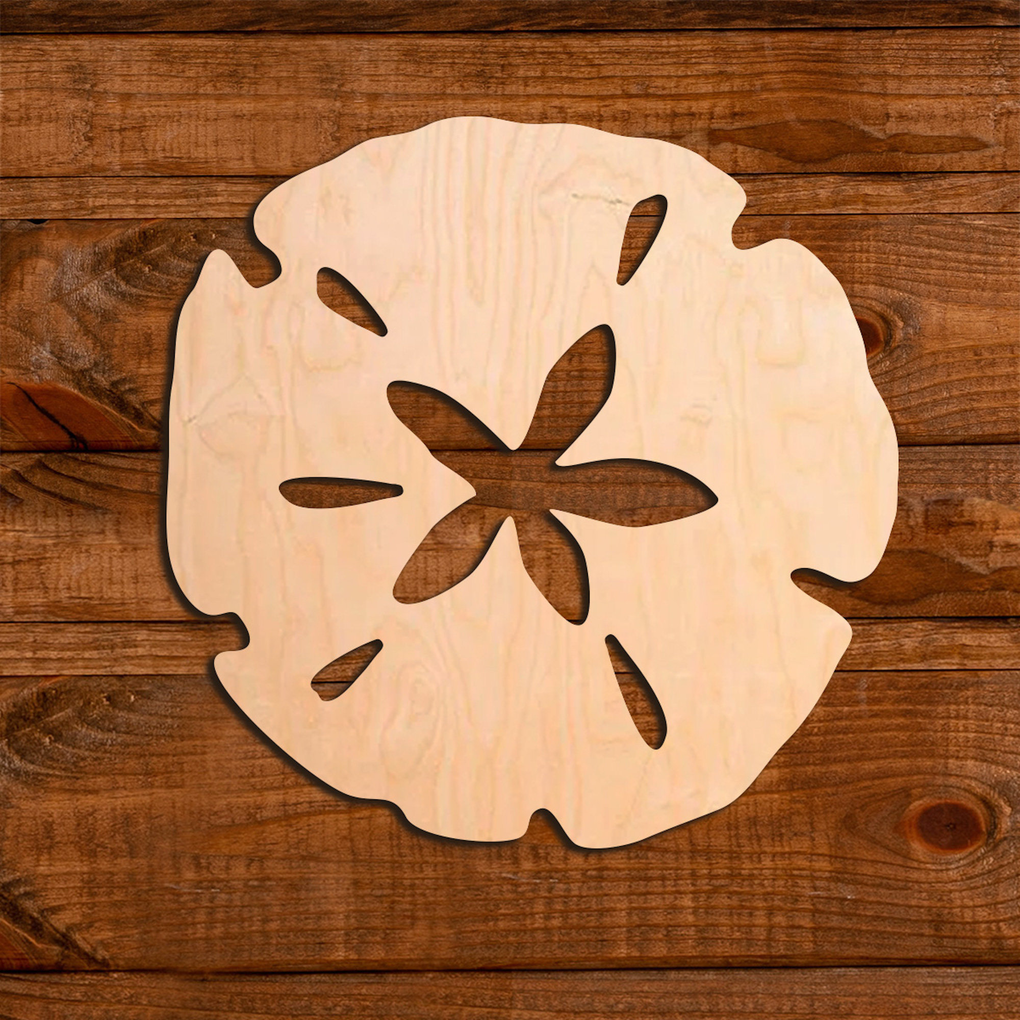 Sand Dollar Nautical Decor Beach Wall Hangings