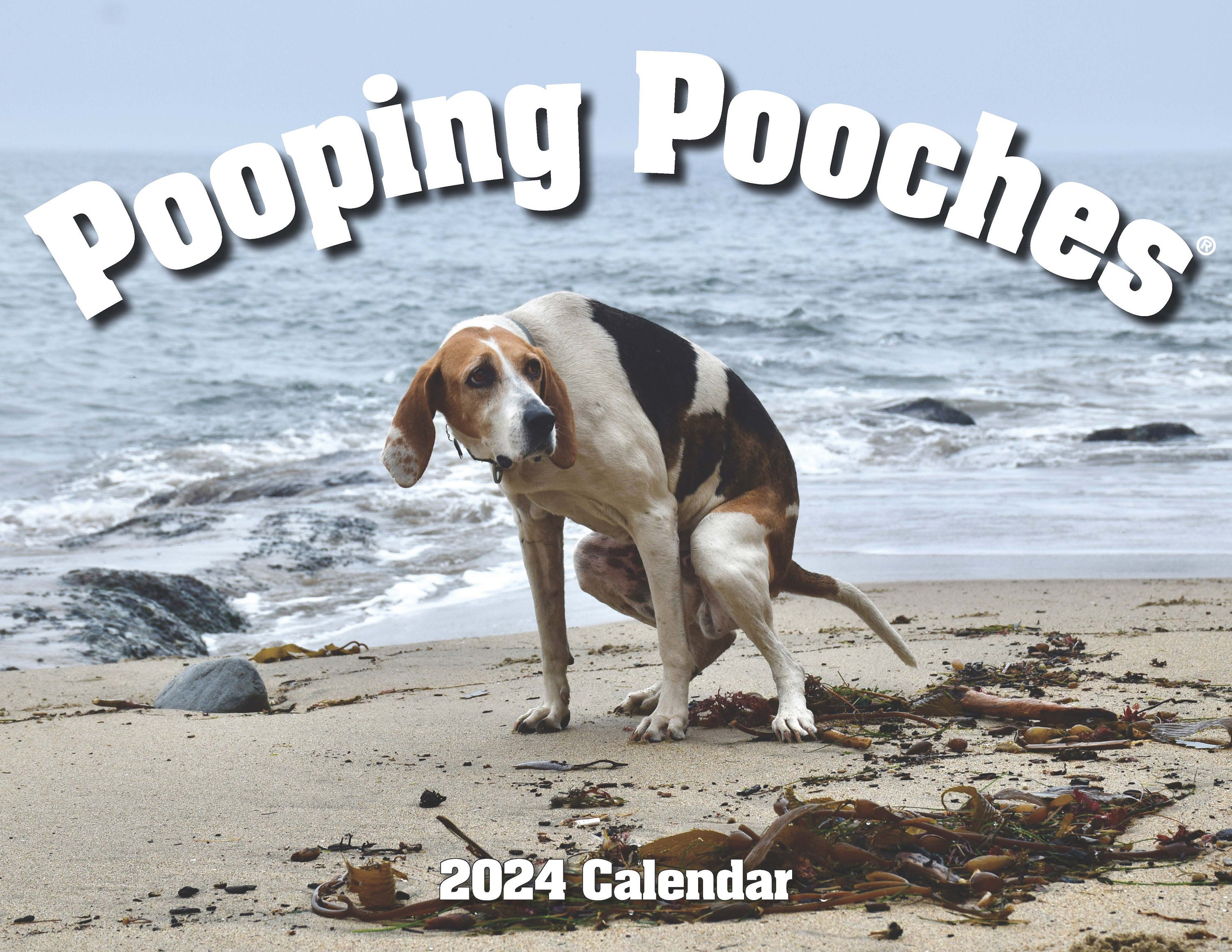 2024 Pooping Pooches Dog Calendar