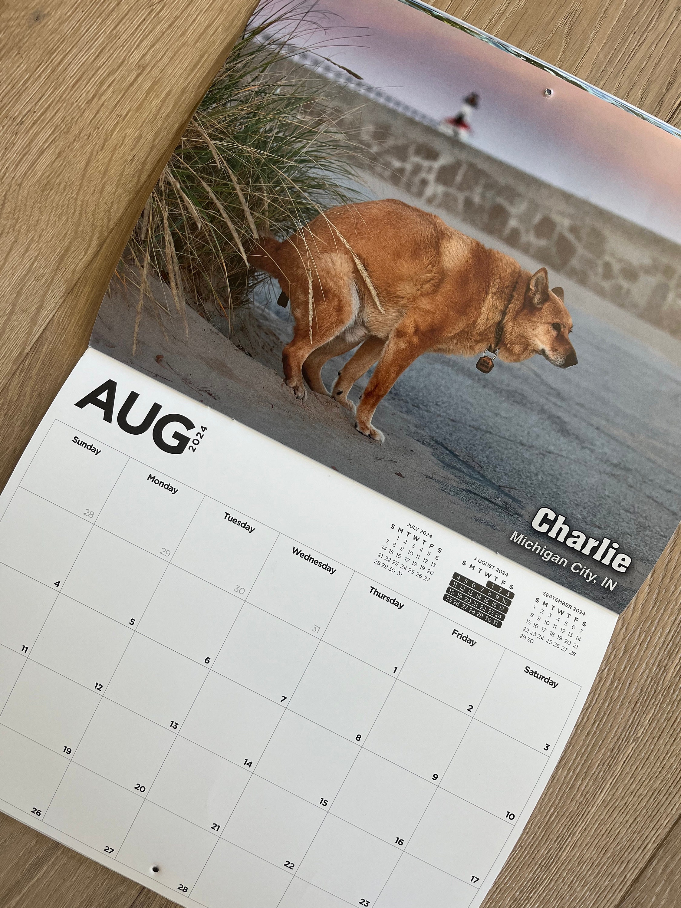2024 Pooping Pooches Dog Calendar