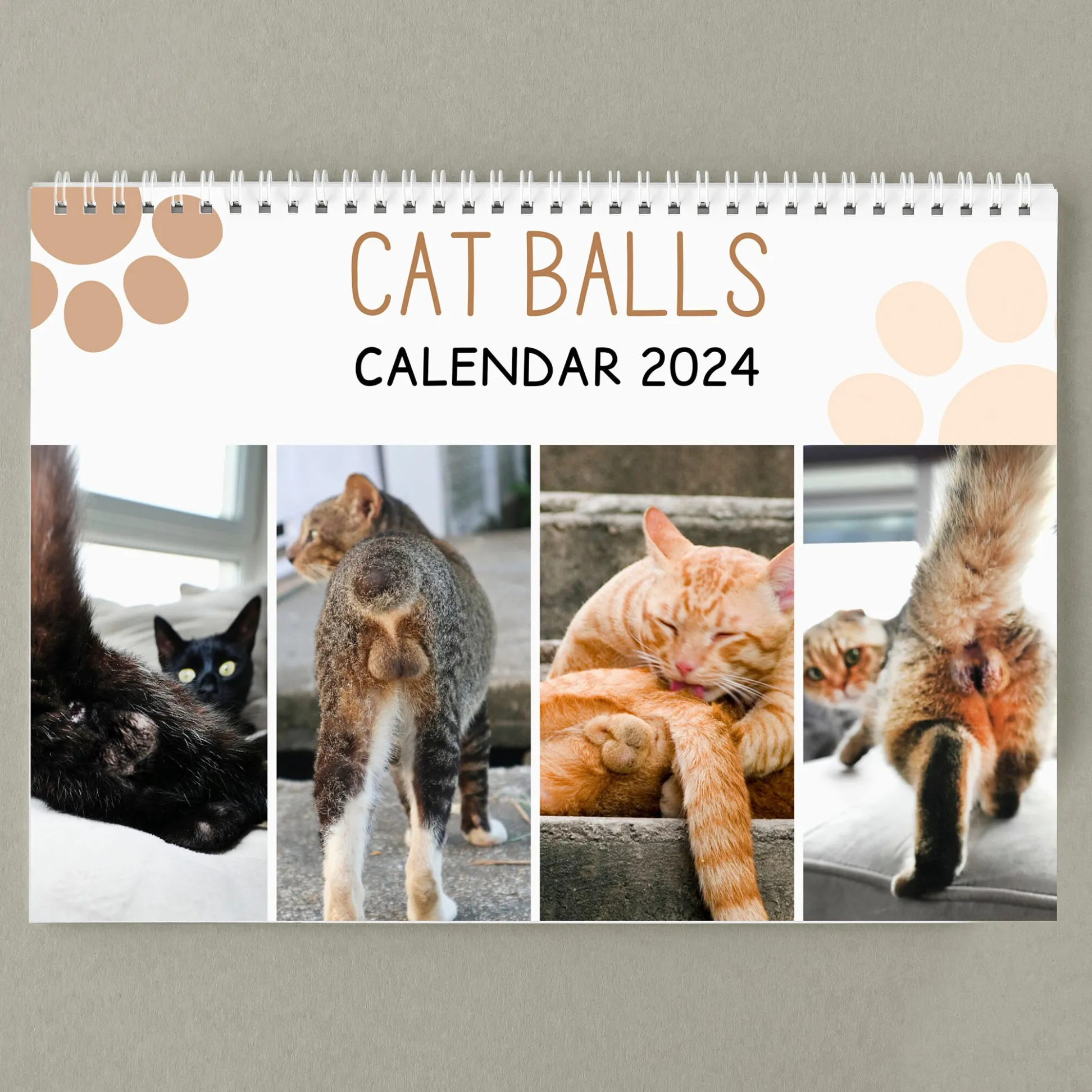 😽Funny Cat Calendar 2024