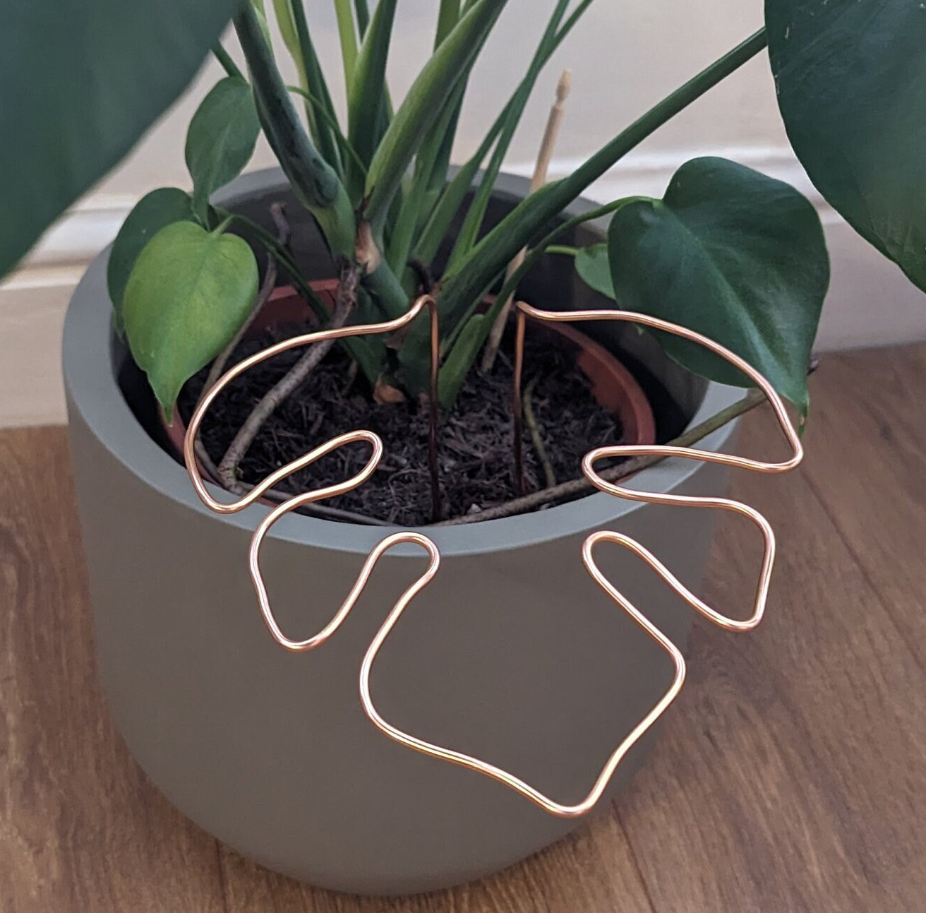 Monstera Shaped Plant Support 