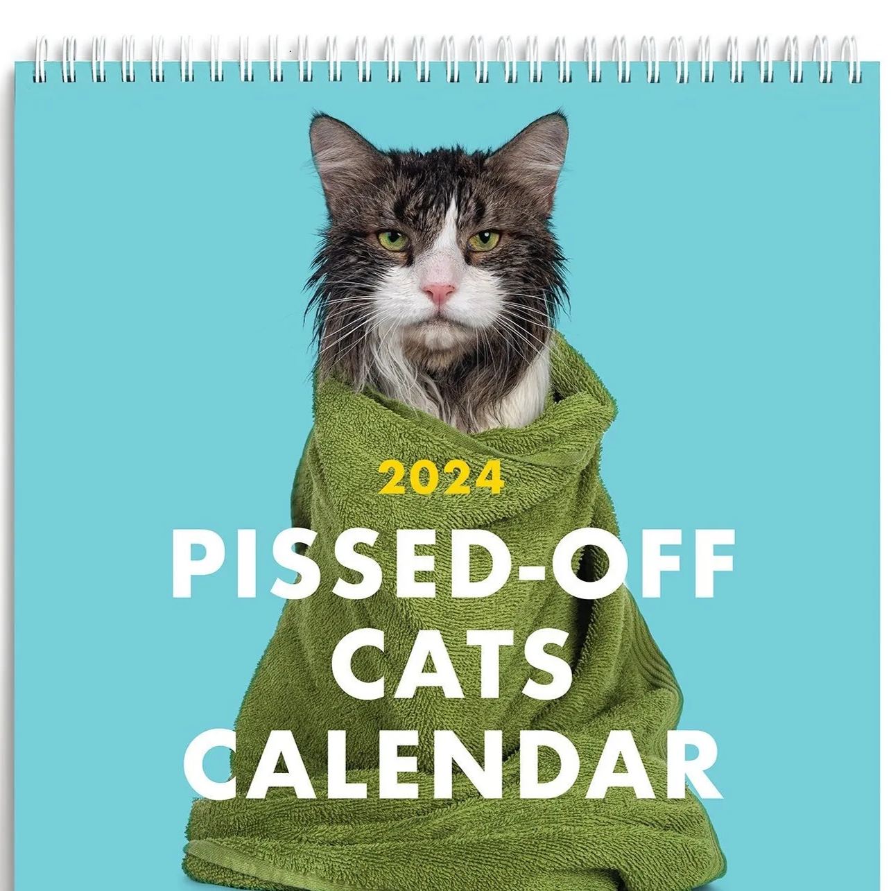 2024 PissedOff Cats Calendar Ferociously Funny