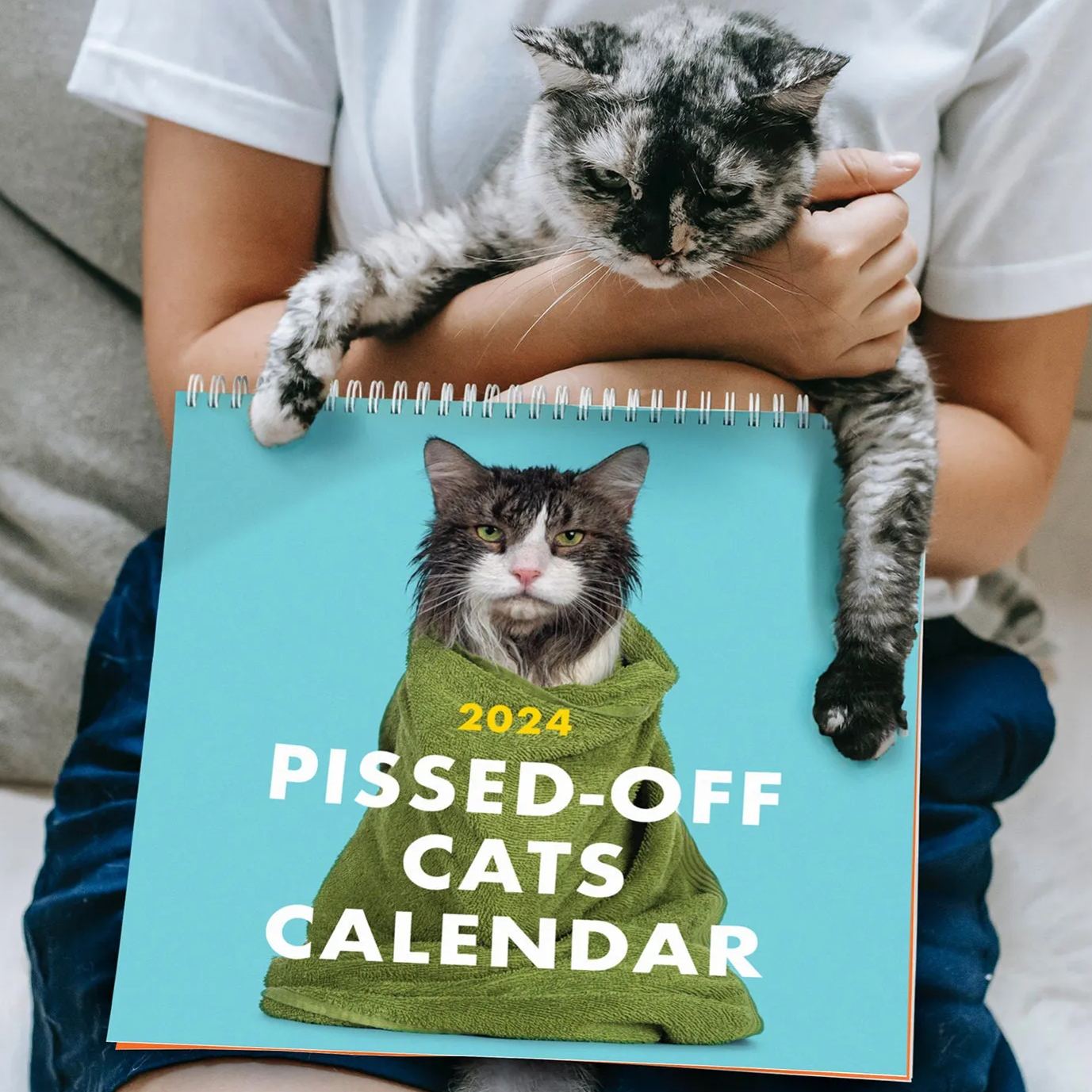 2024 Pissed-Off Cats Calendar - Ferociously Funny